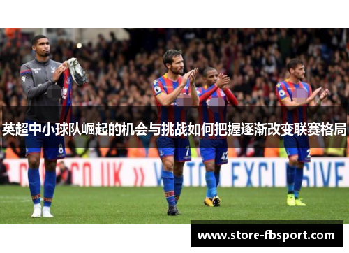 英超中小球队崛起的机会与挑战如何把握逐渐改变联赛格局
